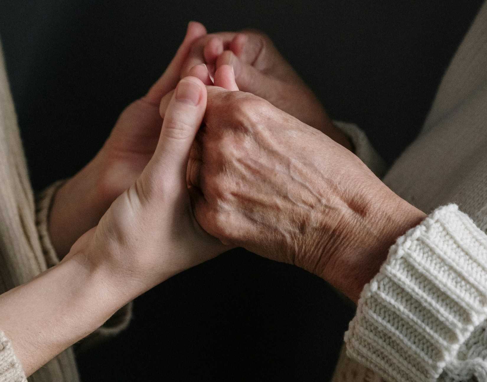 Consulting session with AFH owner